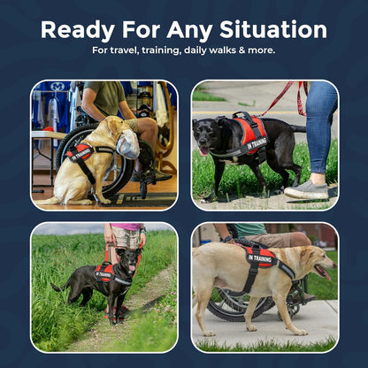 2 Training Dog Patch - Reflective Hook-Back Dog Patches for Clear Visibility, Durable Vest Patches for Training Identification, Compatible with Hook and Loop Vest Gear - Large 2"X6"